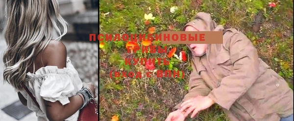 мет Кулебаки