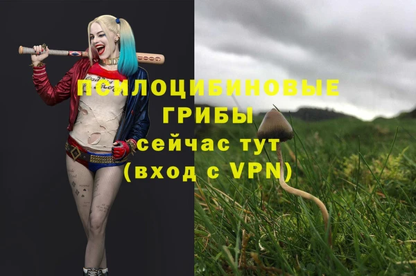 амф Кукмор