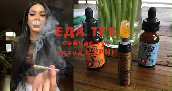 индика Чита